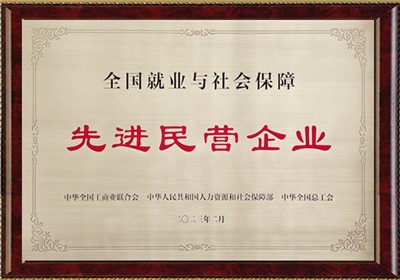 全國(guó)就業(yè)與社會(huì)保障先進(jìn)民營(yíng)企業(yè)