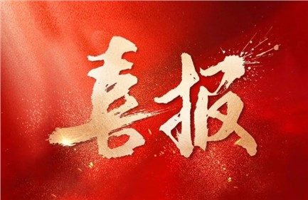 喜報|威勝集團中標國家電網(wǎng)項目，總中標金額超1.15億元，行業(yè)排名第一！