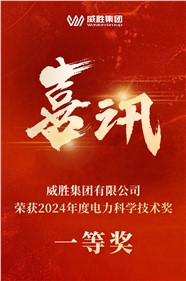 喜訊 | 威勝集團(tuán)榮獲 2024 年度電力科學(xué)技術(shù)一等獎