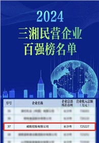 喜訊｜威勝控股上榜2024三湘民營企業(yè)百強榜單，排名第37位